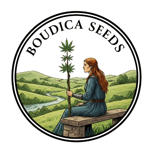 Boudica Seeds